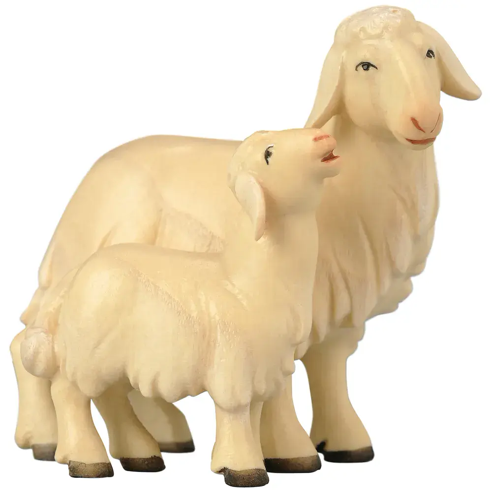 Sheep with lamb