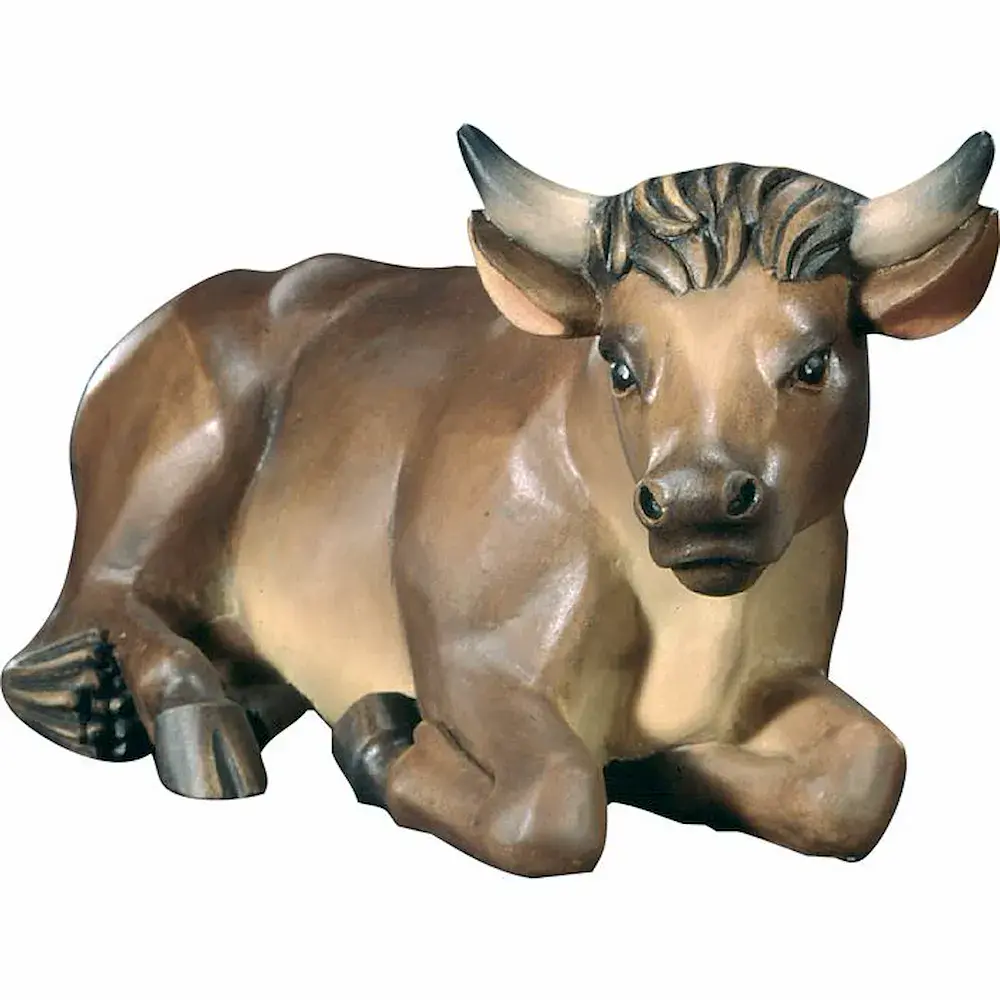 Ox lovely