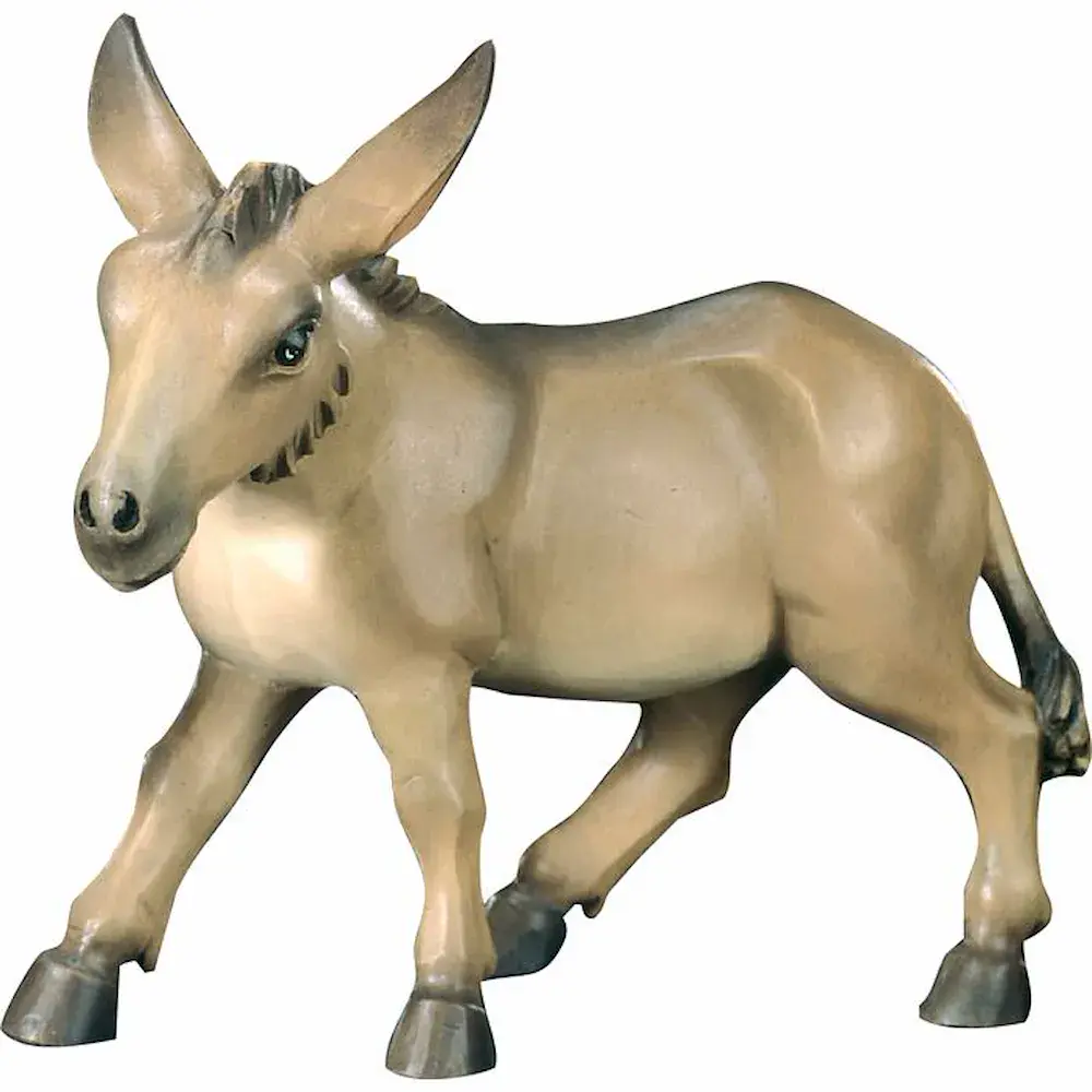 Donkey lovely