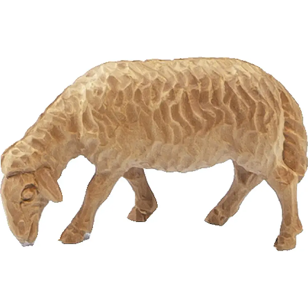 Sheep grazing in Swiss pine