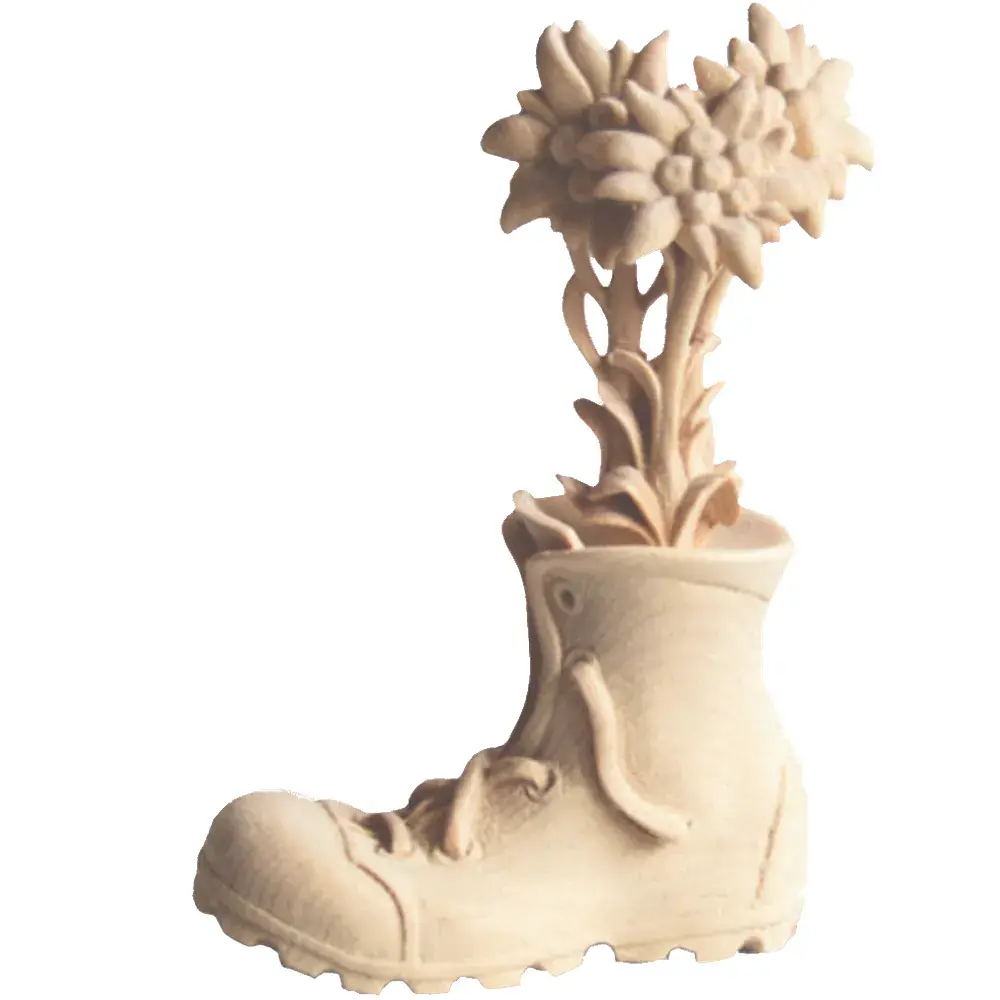 Bunch of Edelweiss with shoe