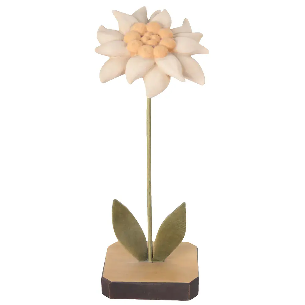 Edelweiss with wooden caulis