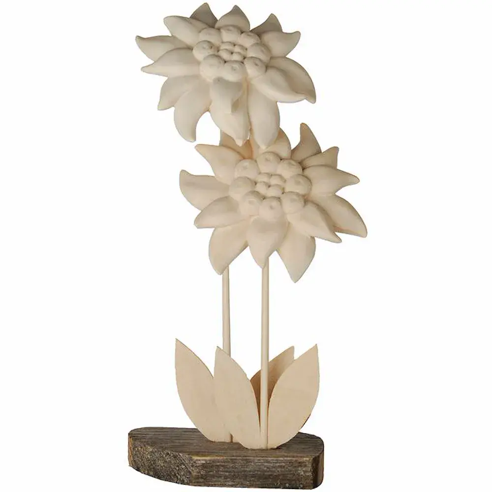 Two Edelweiss with wooden caulis