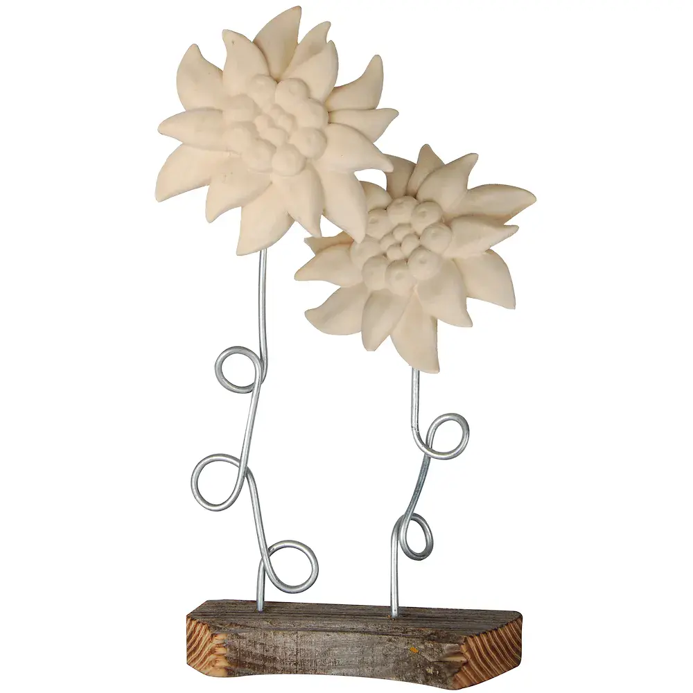 Two Edelweiss with wire caulis