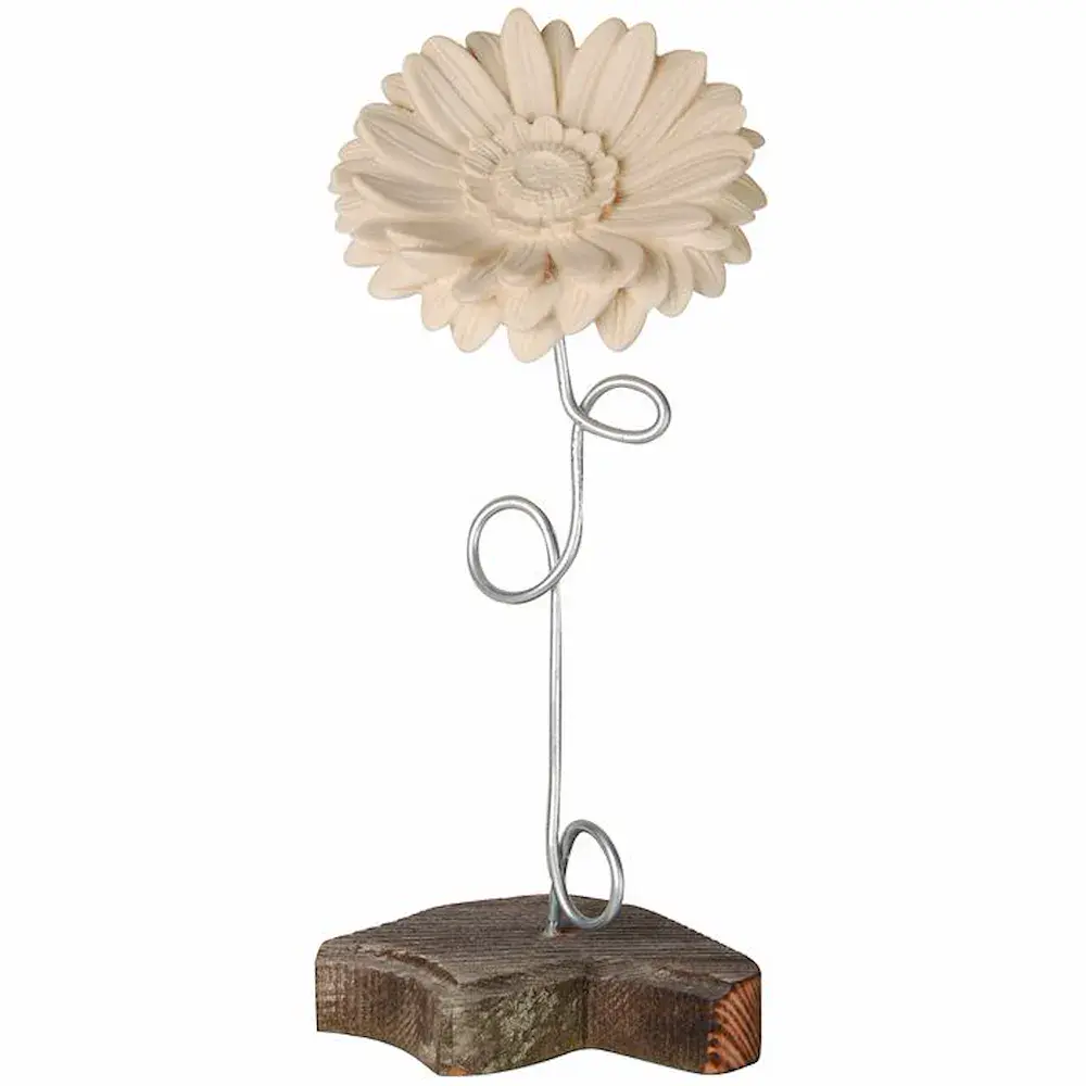Gerbera with wire caulis