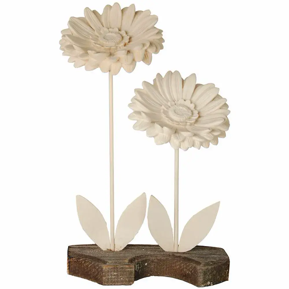 Two Gerberas with wooden caulis