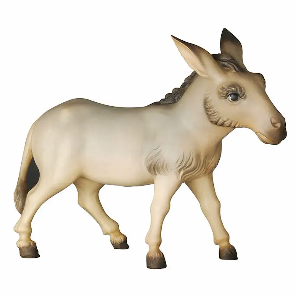Donkey