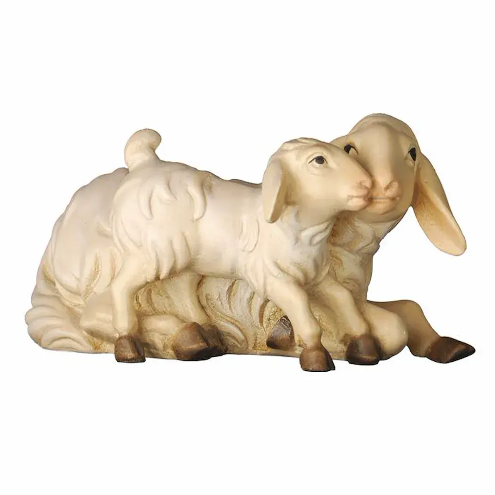 Sheep lying