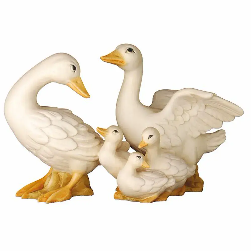 Goose family
