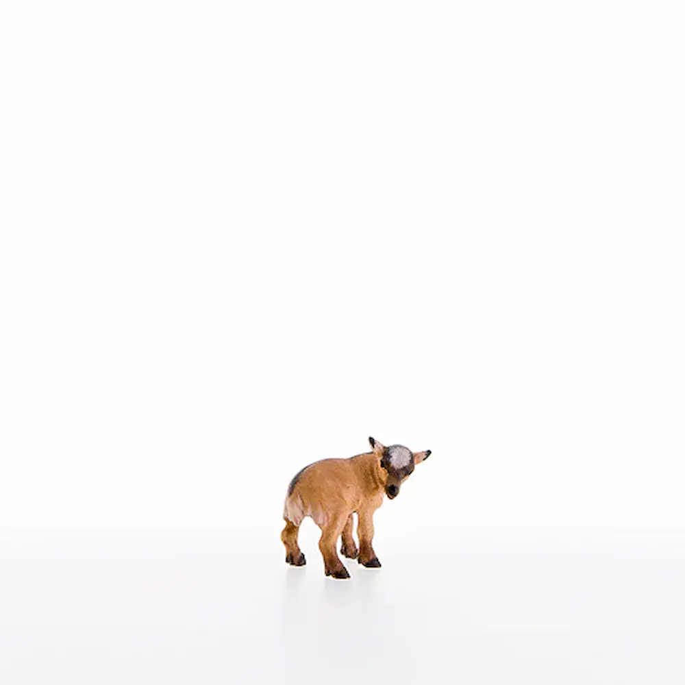 El cabrito