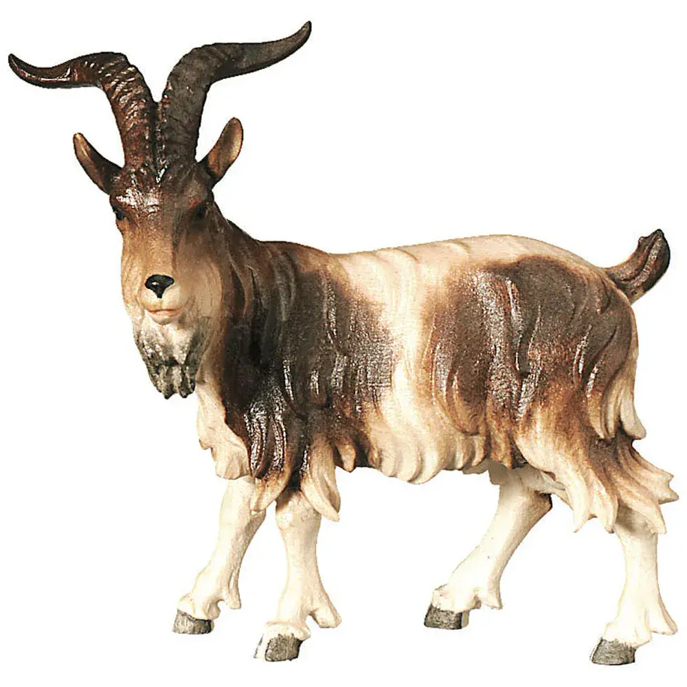 Ziegenbock stehend