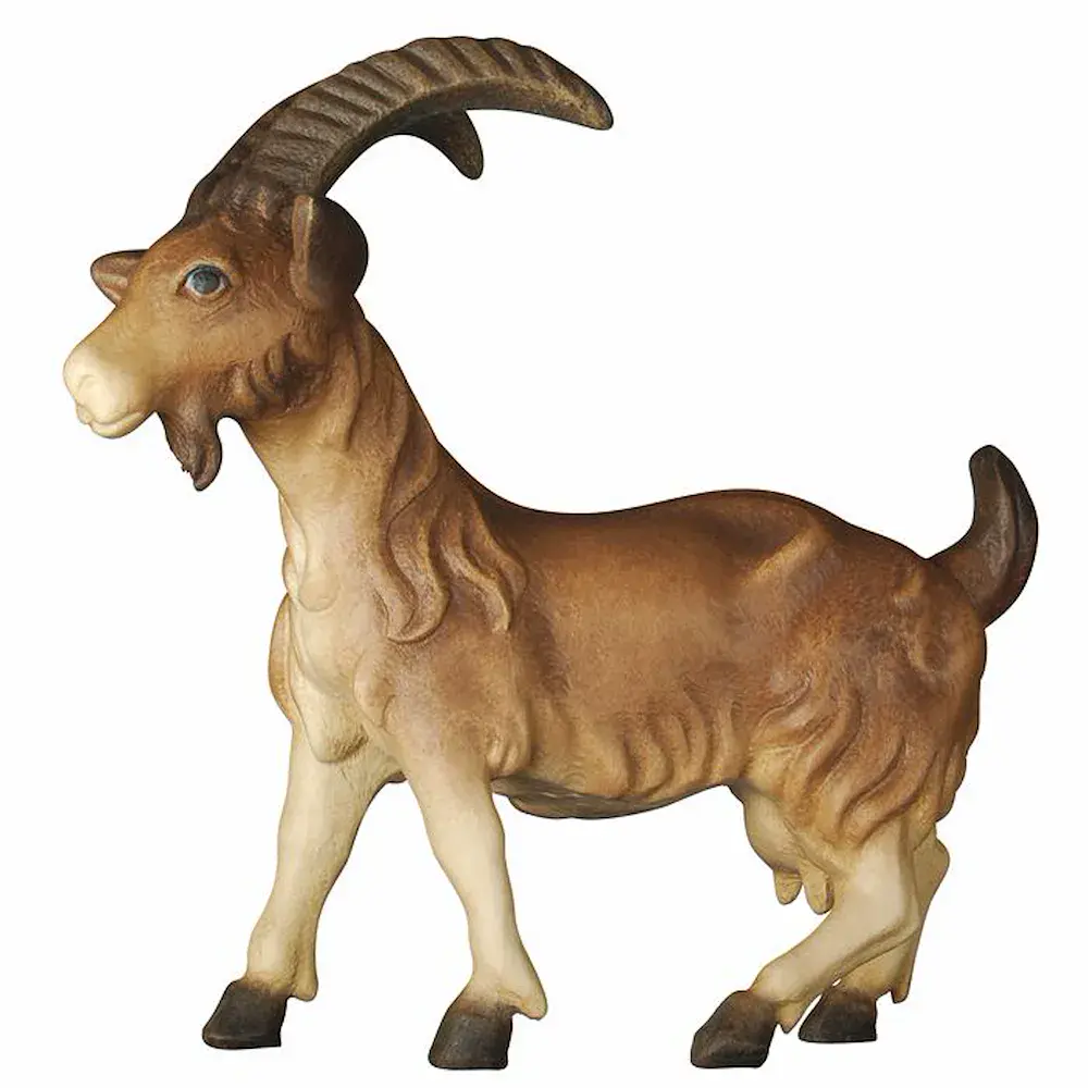 Cabra sin cabrito