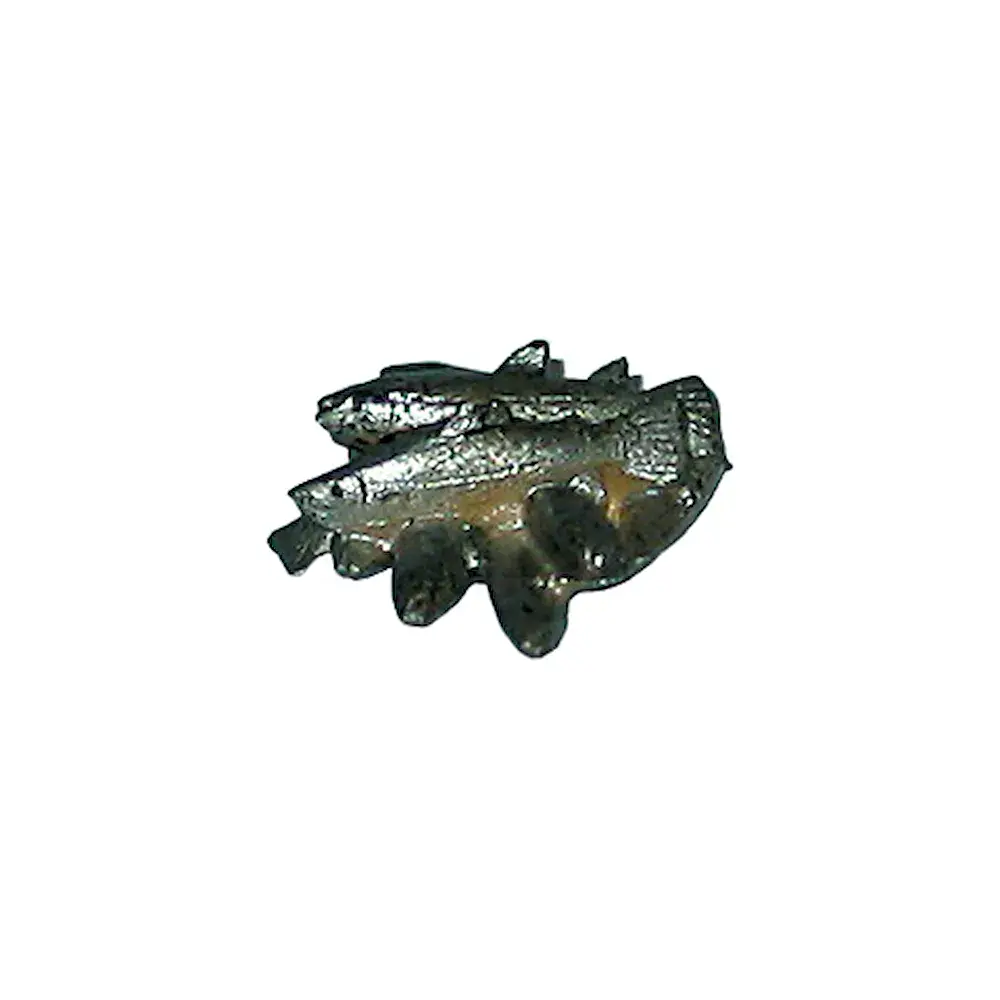 Grupo de peces