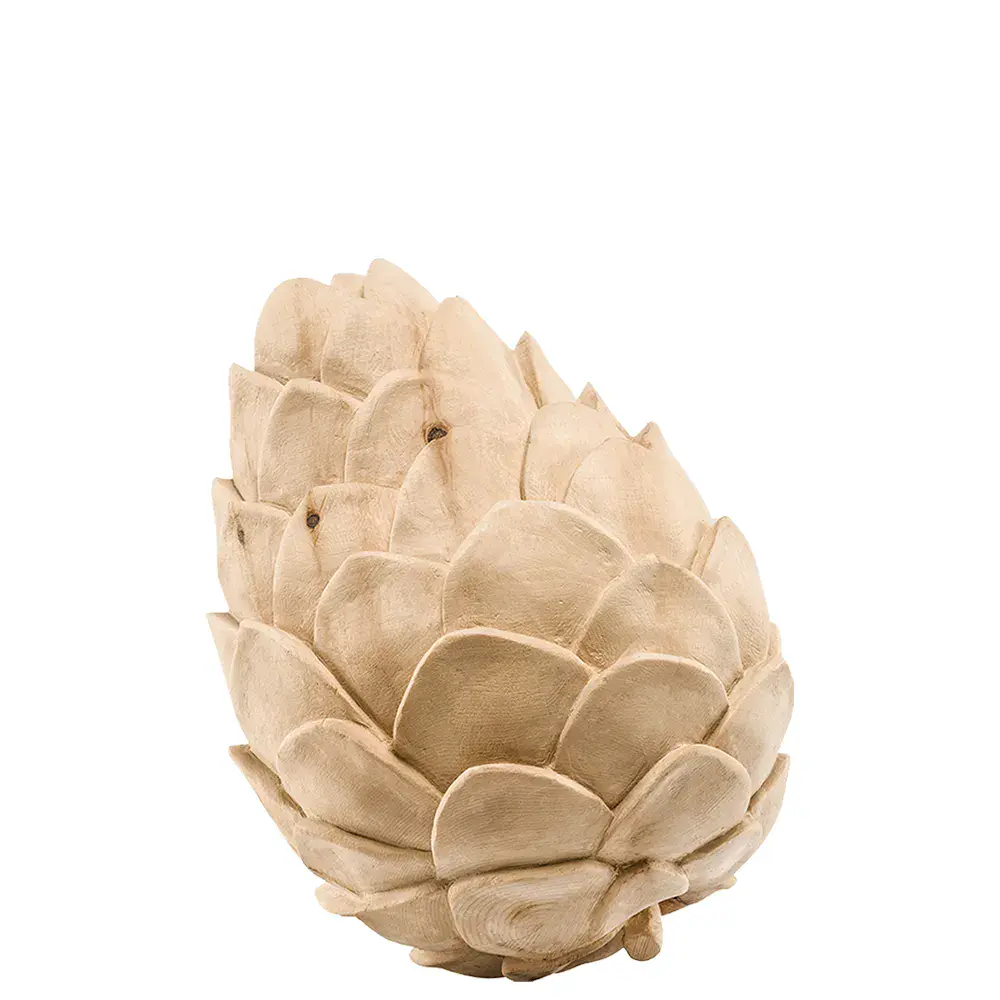 Piñas pinus cembra