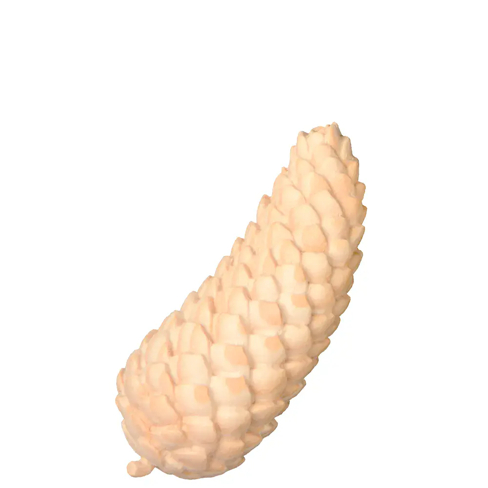 Piñas de pícea
