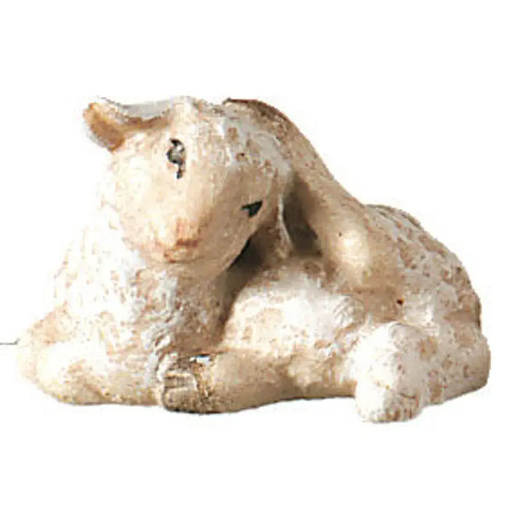 Agnello che si gratta
