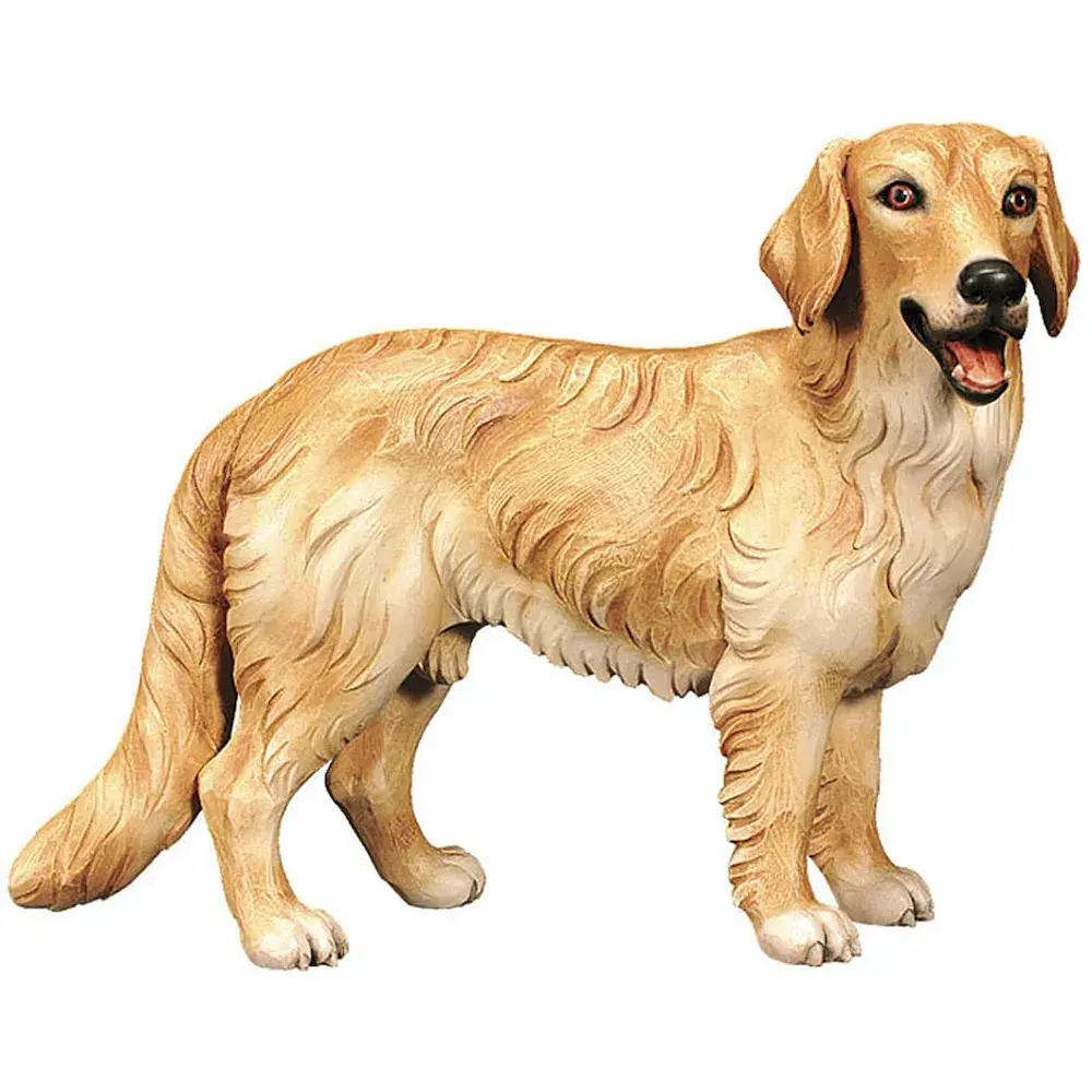 Golden Retriver