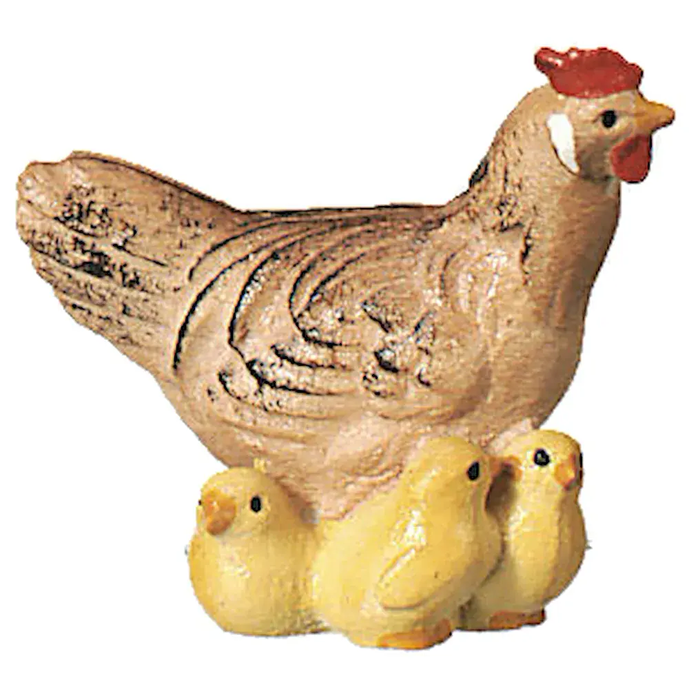 Gallina con pulcini