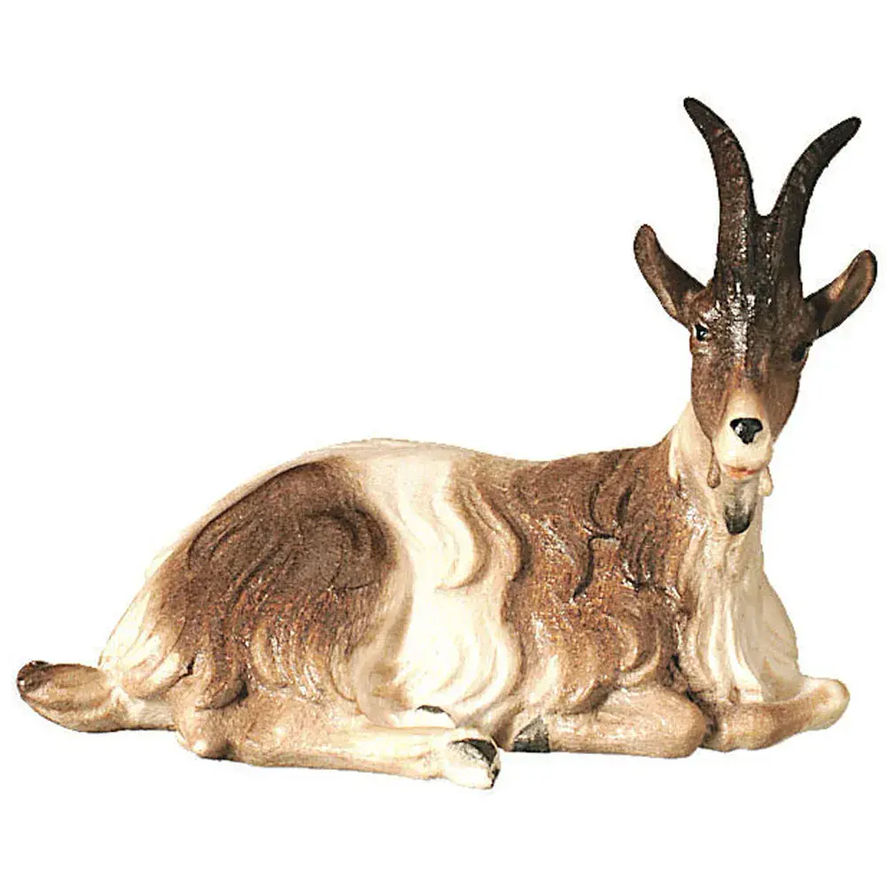 Capra sdraiata