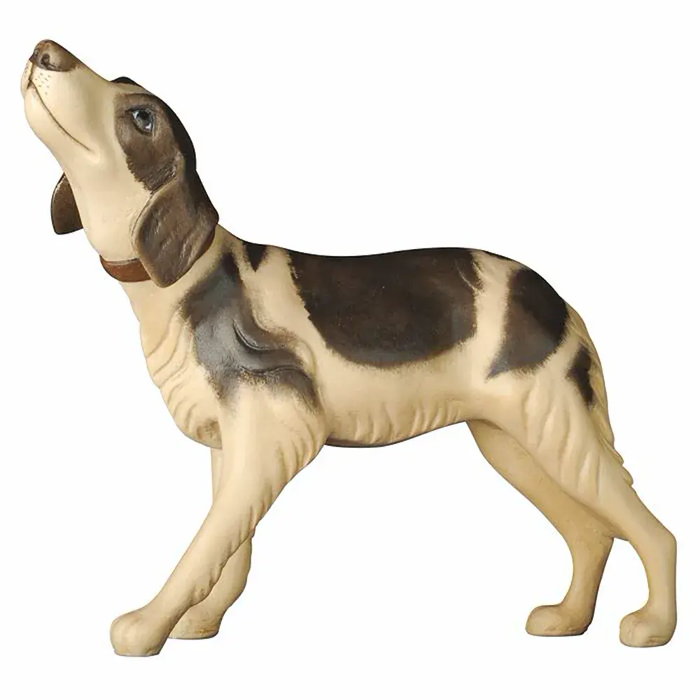 Cane