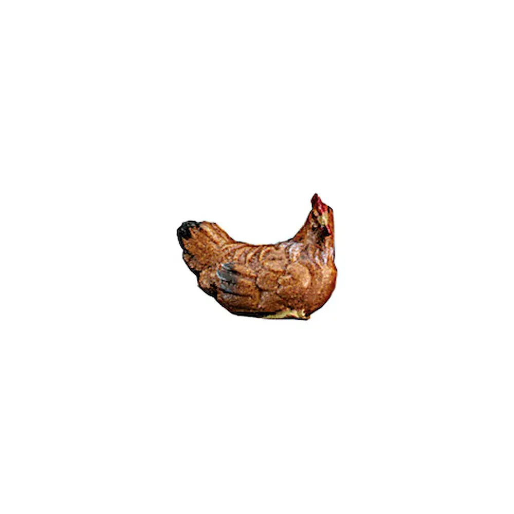 Gallina