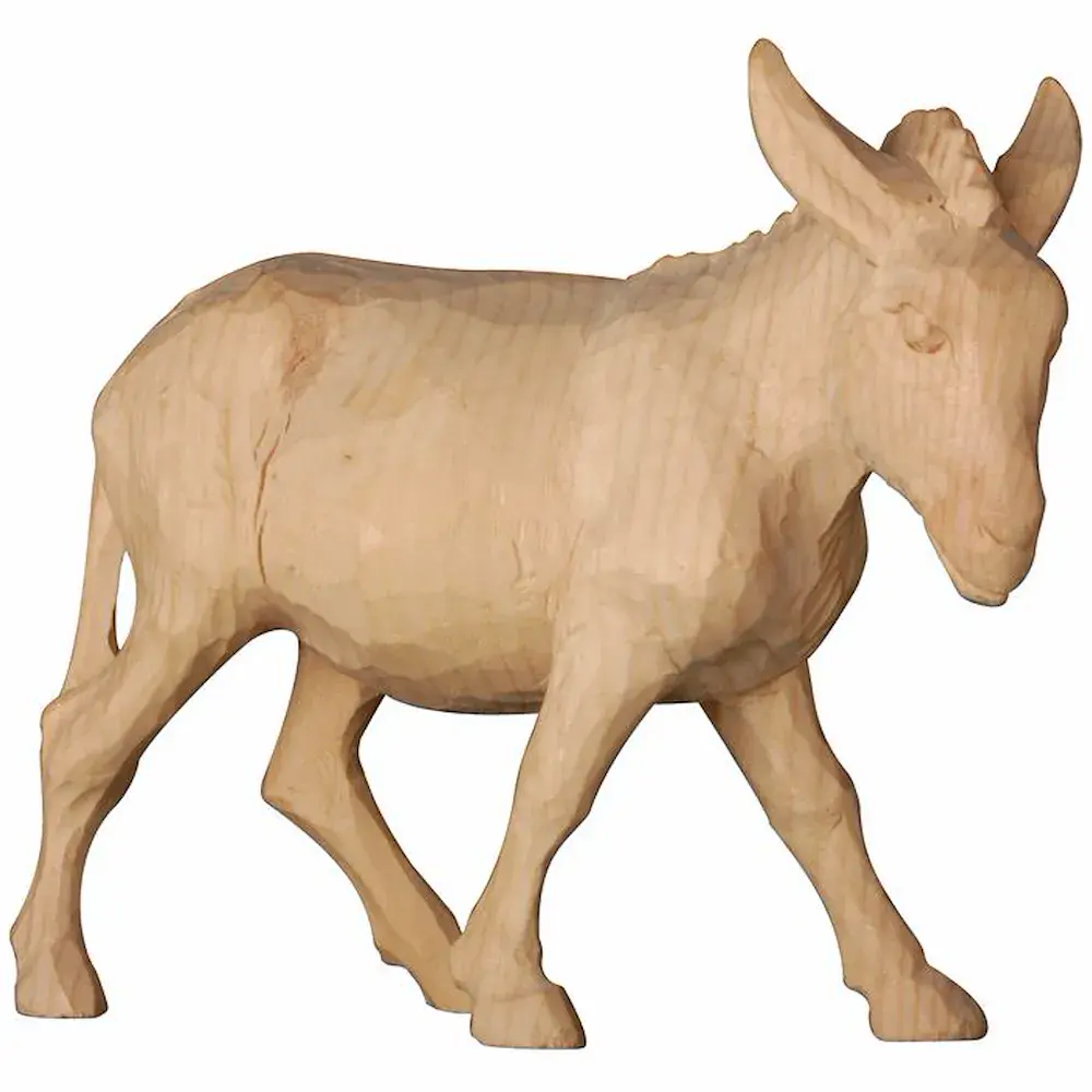 Asino cirmolo