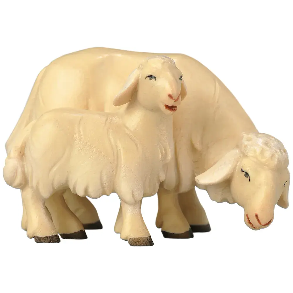 Pecora che pascola con agnello