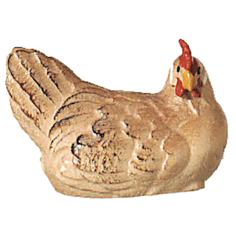 Gallina covatrice