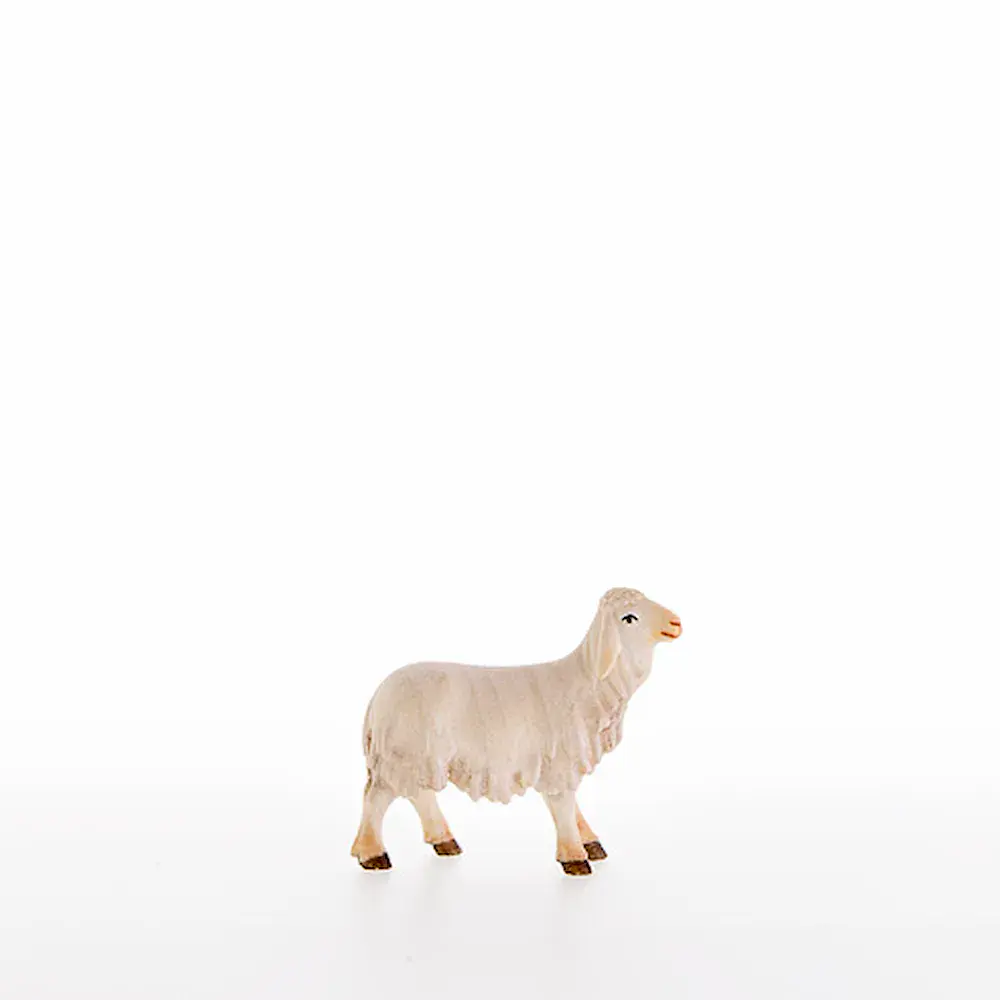 Agnello con capo verso l'alto