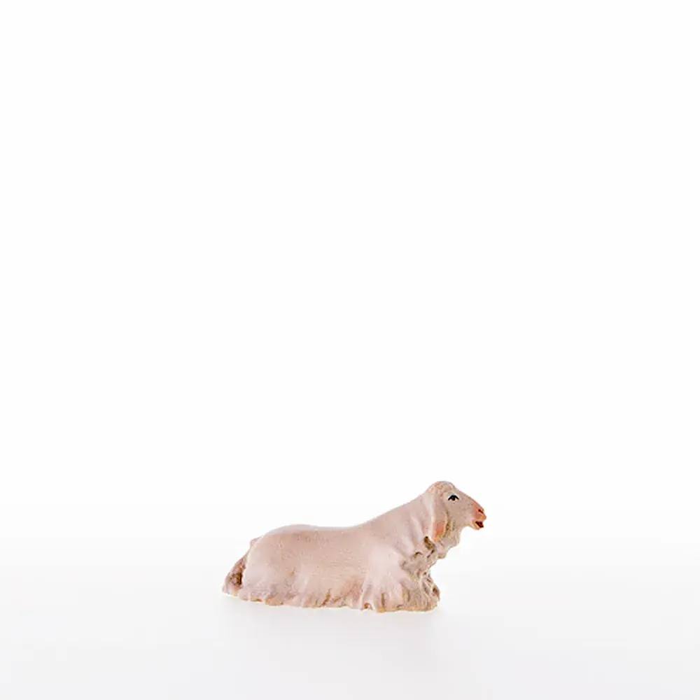 Agnello accovacciato