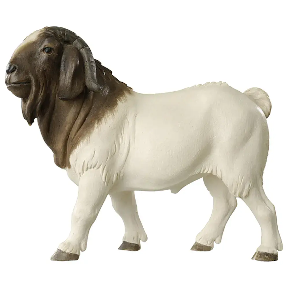 Burenziegenbock