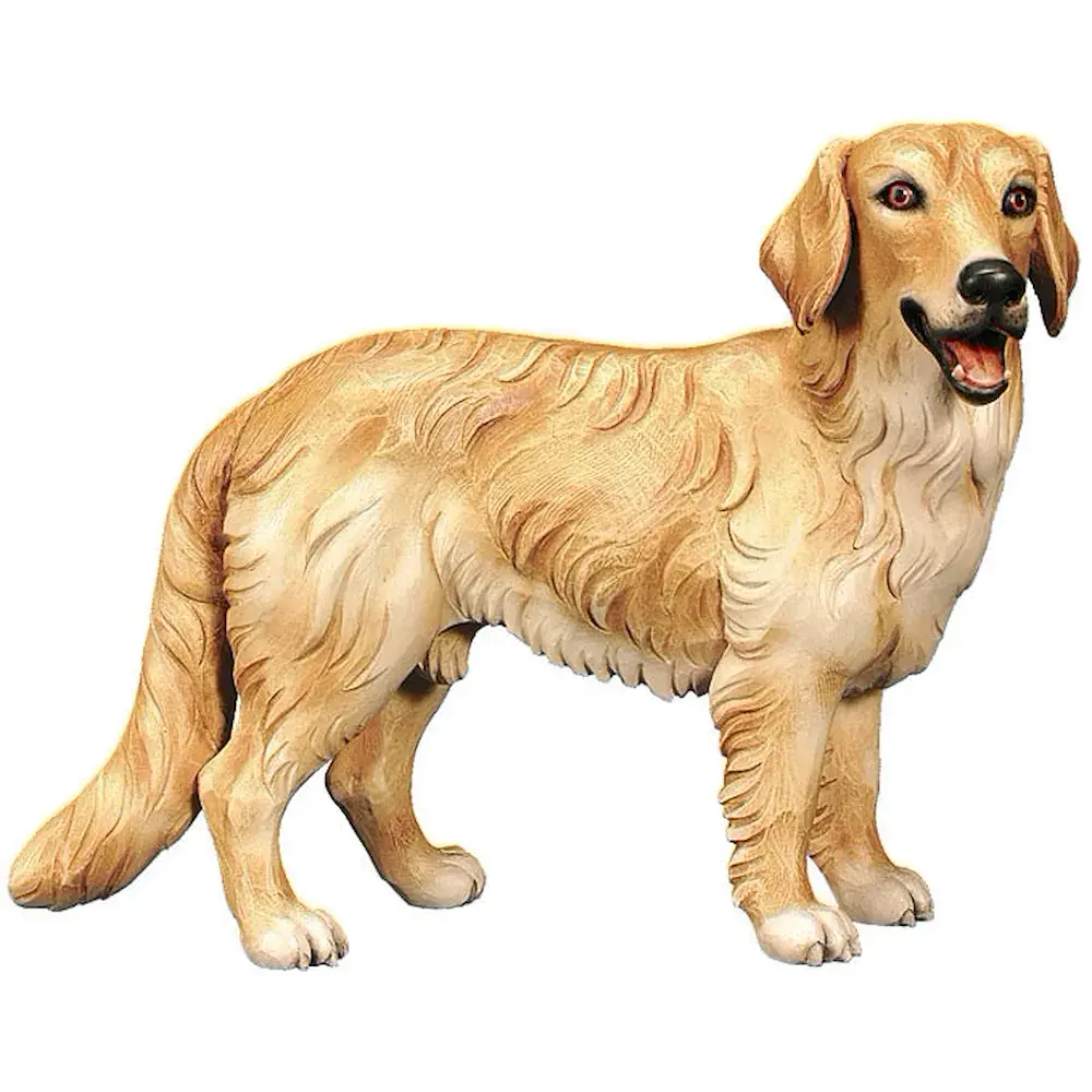 Hund Golden Redriver