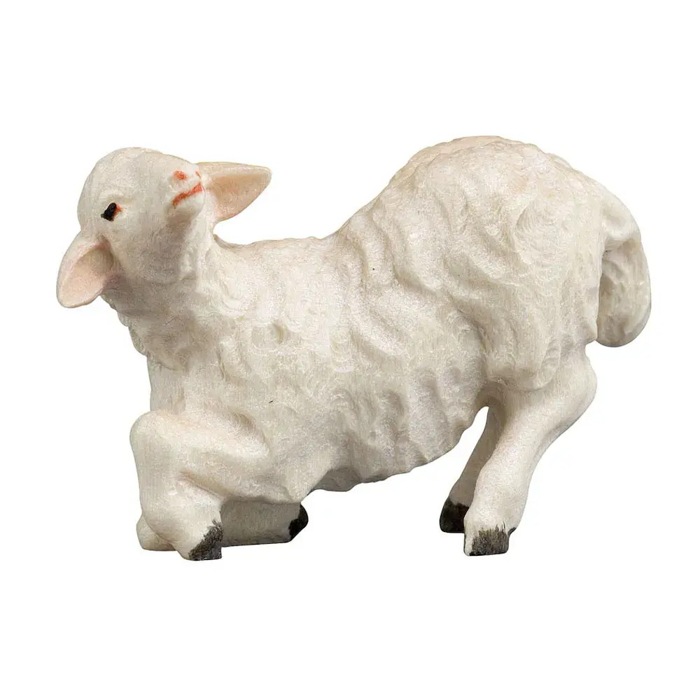 Lamb kneeling