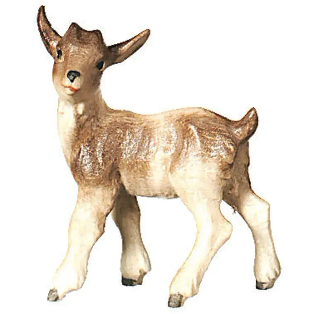 Fawn standing
