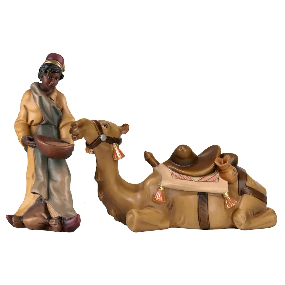 Camel with driver