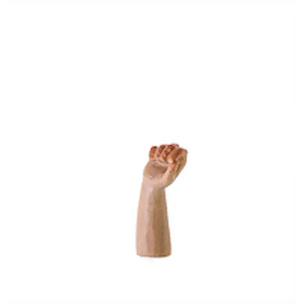 Rechte, geschlossene Hand