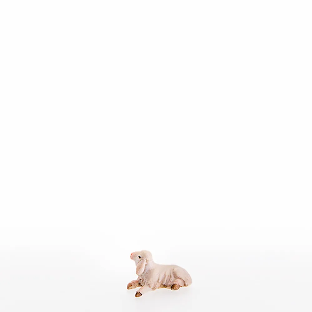 Newborn lamb
