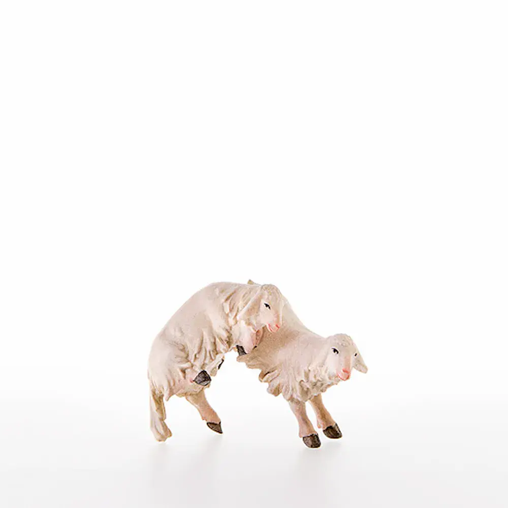 Lambs jumping for joy
