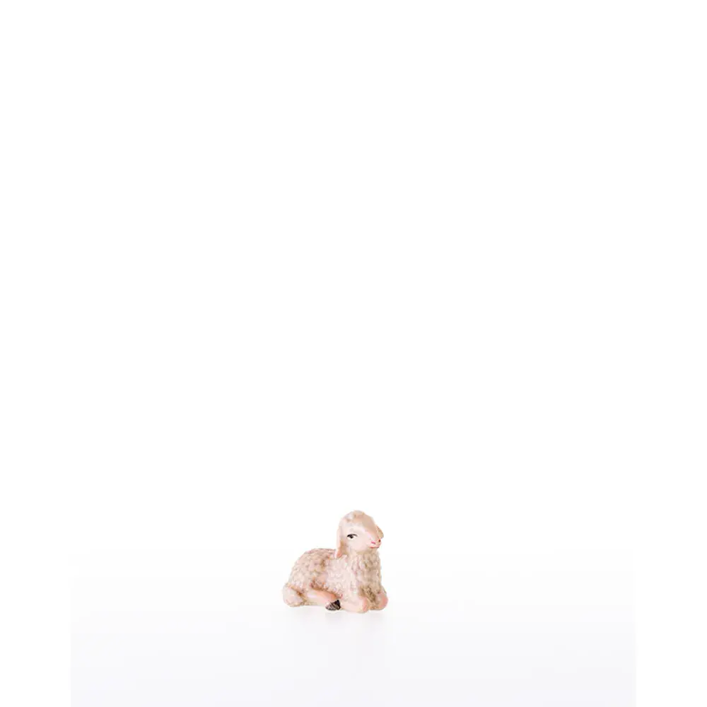 Lamb lying