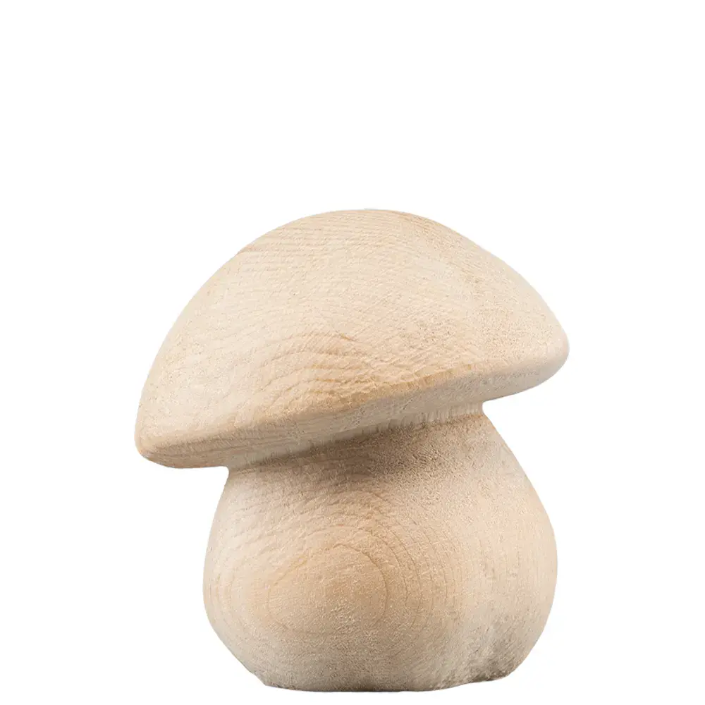 Steinpilz klein