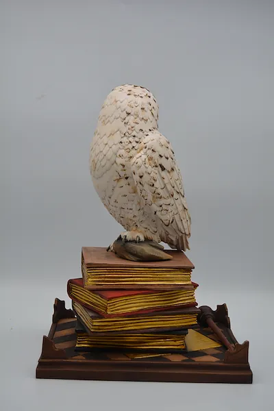 Gufo su libri