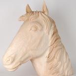 Horse's Head