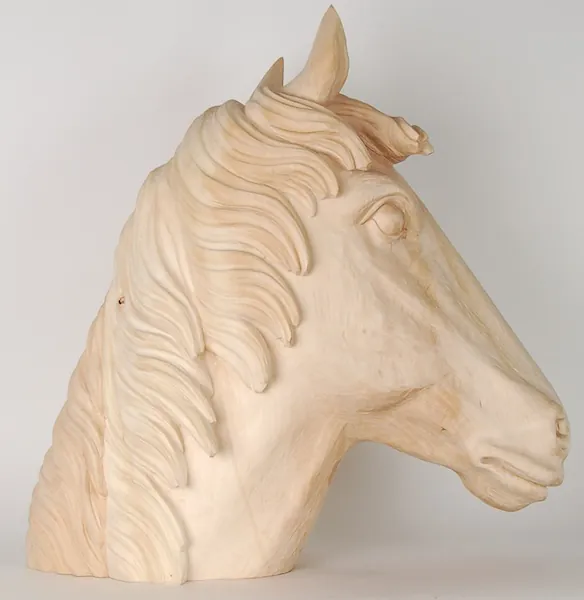 Other side of the horse's head