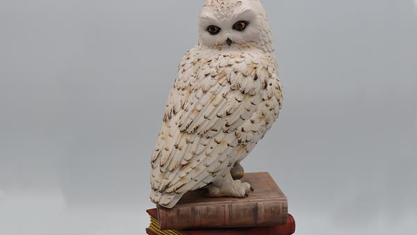 Owl on books