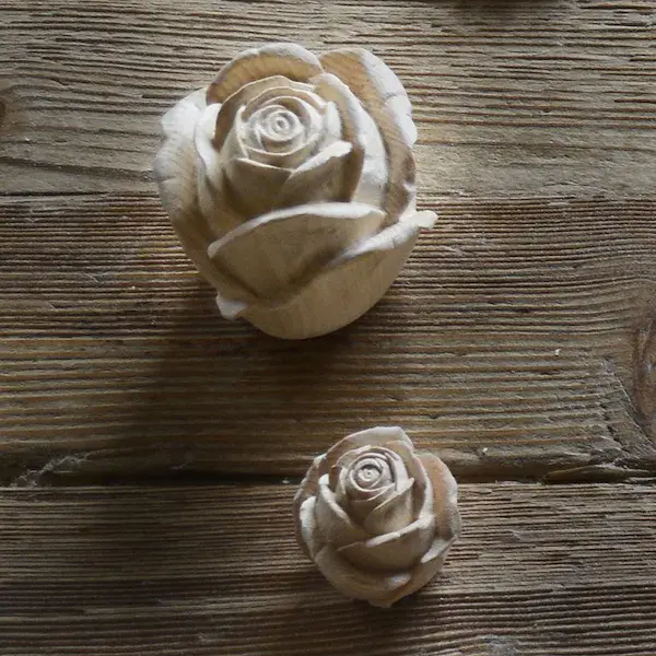 Rose flower closed