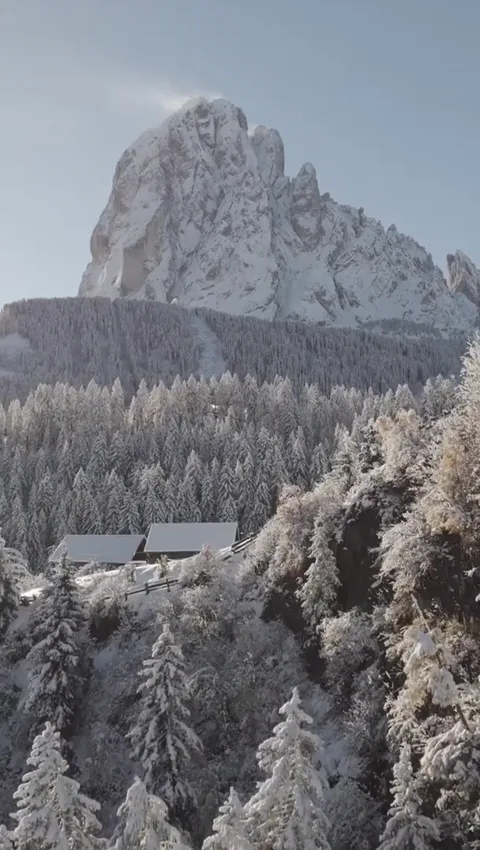Sculture dalla val gardena