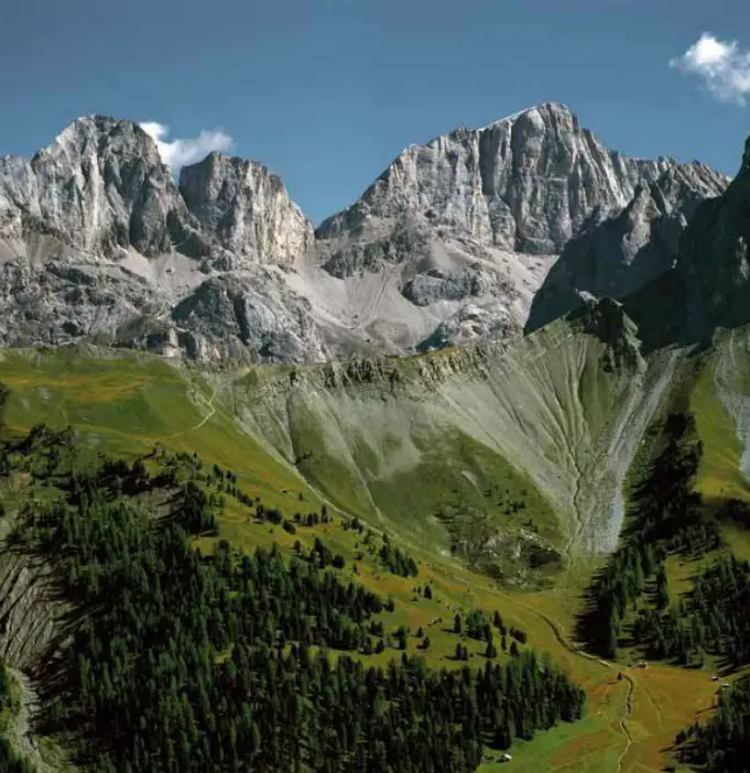 Struttura del paesaggio