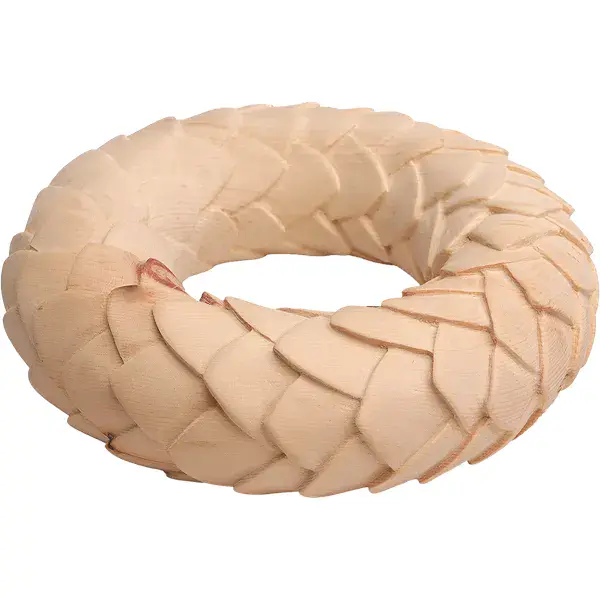 Piñas pinus cembra