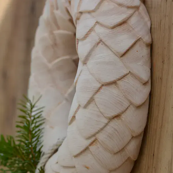 Piñas pinus cembra