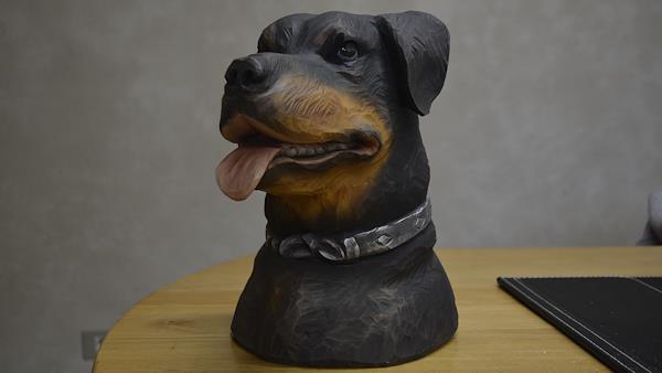 Testa di cane